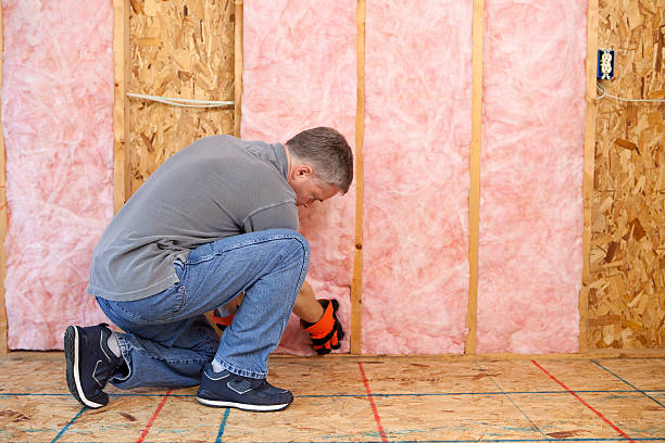 Best Commercial Insulation Services  in Lake City, SC