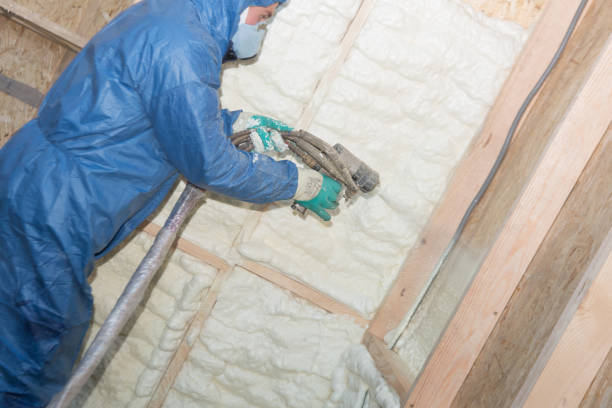 Best Attic Insulation Installation  in Lake City, SC